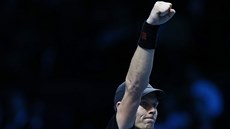 ANO! eský tenista Tomá Berdych slaví výhru nad Ferrerem na Turnaji mistr.