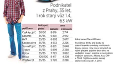 Podívejte se na tyi modelové propoty, kolik bude od ledna stát povinné ruení  u devíti pojioven. tyi pojiovny zatím nemají stanovené ceny od ledna 2014. Ilustraní snímek