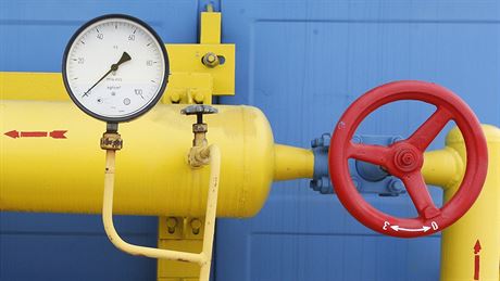 Spoteba plynu na Ukrajin se obvykle pohybuje kolem 50 miliard metr krychlových ron. 