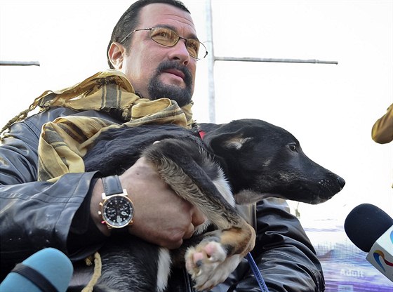 Steven Seagal se rozhodl psa adoptovat na dálku a podporovat ho finann.