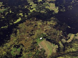 A fisherman's house is seen along the Tapajos River, a tributary of the Amazon,...