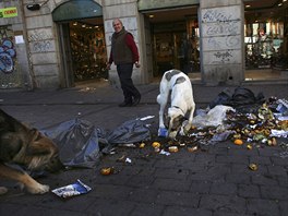 Psi si "pochutnávají" na zbytcích jídla, které kvli stávce vyhláené odbory...