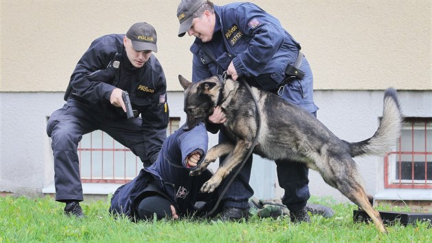 Chovn stanice v Domalicch je jedin v esku, kter odchovv a trnuje sluebn psy pro policii v cel republice.