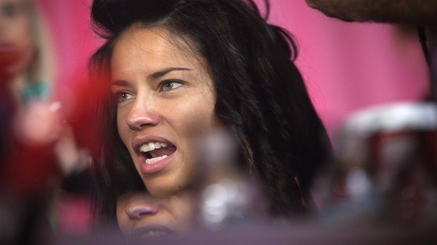 Adriana Lima ped pehldkou Victoria's Secret (13. listopadu 2013)