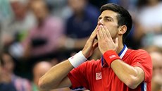 DÍKY. Novak Djokovi zdraví srbské diváky ve finále Davis Cupu. 