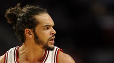 Joakim Noah z Chicaga Joakim Noah z Chicaga