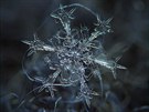 "Toto je nejkrásnjí hvzdicový krystal, který se mi povedlo minulou zimu...