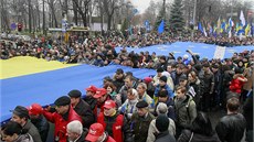 Demonstranty v Kyjev podpoila vznná expremiérka Julija Tymoenková