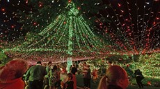 Australská rodina Richardsových vyzdobila svůj dům 502 165 světly, aby trhla... Australská rodina Richardsových vyzdobila svůj dům 502 165 světly, aby trhla...