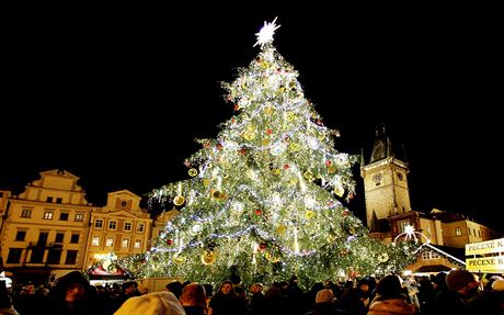Letoní praský vánoní strom. Poprvé stál v hlavním mst v roce 1812.