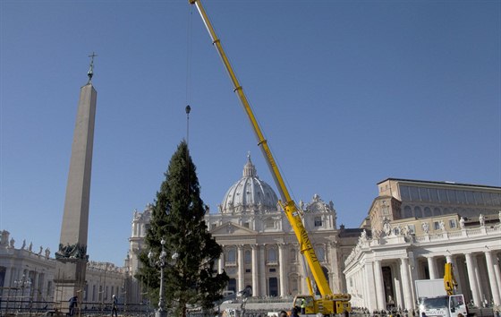 Vánoní strom z esko-nmeckého pohranií je instalován na Svatopetrském...