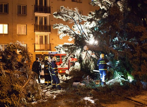 Hasii odstraují strom, který v noci v  Novém Mst nad Metují vyvrátil silný...