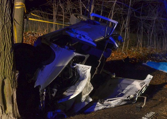 Automobil znaky Renault Mégane narazil do vzrostlého stromu. (8. prosince 2013)