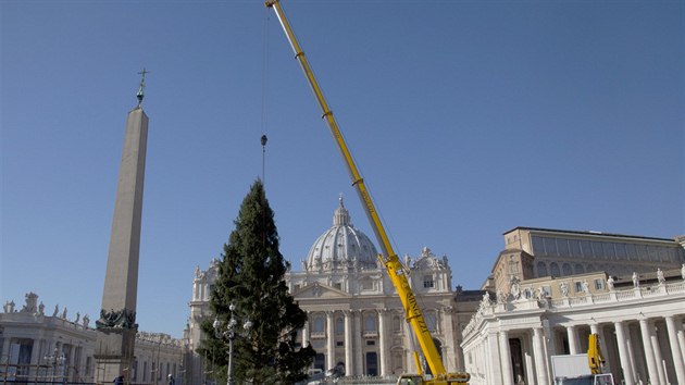 Vnon strom z esko-nmeckho pohrani je instalovn na Svatopetrskm nmst ve Vatiknu