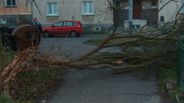 Krtce ped osmou hodinou rno strnci v st nad Labem vyjeli do Masarykovy ulice, kde se pi poryvu vtru ze stromu ulomila siln vtev. Spadla na chodnk. Strnci ji rozezali a odklidili. Stejn pozdji zasahovali i v ulici Na Polu a Vinask. (6. 12. 2013)