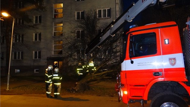 Hasii odstraují strom, který spadl na dm v Prkopnické ulici v