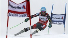 Ted Ligety na trati obřího slalomu v Beaver Creeku. Ted Ligety na trati obřího slalomu v Beaver Creeku.