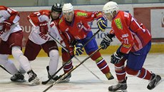 LOSKÝ TANEEK. Ve tvrtfinále hokejového play-off spolu bojují Jií ípa z Olomouce a plzeský Jakub Lev.