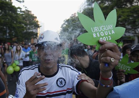 Uruguay schválila úplnou legalizaci marihuany jako první stát na svt. Nyní se...