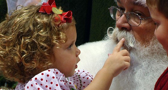 Santa Claus (ilustraní fotografie)