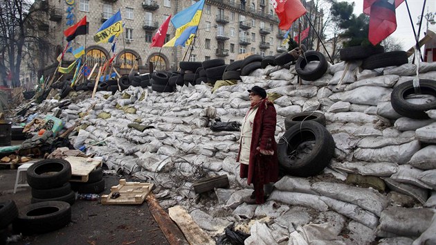 Krom ukrajinskch vlajek jsou k vidn v Kyjev tak erno-erven vlajky tamn ultrapravicov strany Svoboda (16. prosince 2013).