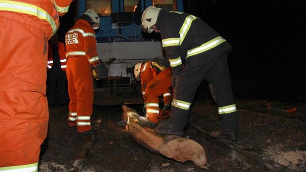 Dlnkovi ovldajcmu hydraulickou ruku vypadly kldy do kolejit. Osobn vlak, kter mstem zrovna projdl, na n najel.