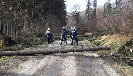 Silný vítr 24. prosince ve Zlínském kraji vyvrátil nkolik strom a utrhnul...