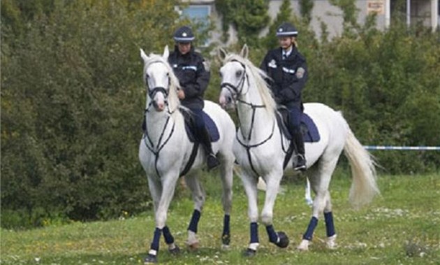 Policisté na koních