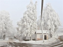 Stromy na Vysoin padají pod tíhou námrazy.