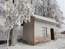 Stromy na Vysoin padají pod tíhou námrazy.