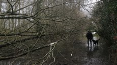 Meteorologové varují ped píchodem dalích  liják a silného vtru (26....