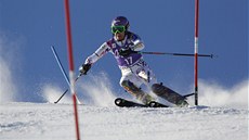 Lyžařka Šárka Strachová Lyžařka Šárka Strachová