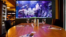 Restaurace Aquarium v Hradci Králové. Restaurace Aquarium v Hradci Králové.