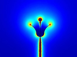 Elektrické pole kolem idealizované kvtiny v rekonstrukci týmu britských vdc...