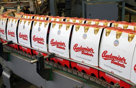 Balírna Budjovického Budvaru:  Hotové 6-packy leáku Budweiser Budvar na pásu...