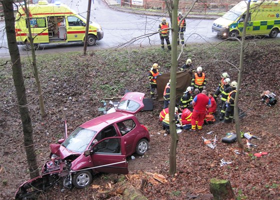 idiku se snaili resuscitovat nejprve svdci nehody, pozdji i záchranái.