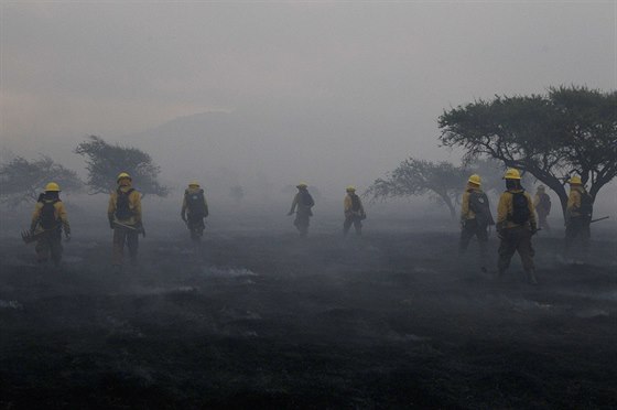 Chiltí hasii prohlíejí spálenit u msta Melipilla vzdáleného asi 70 km...
