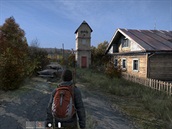 DayZ