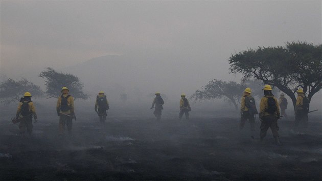 Chilt hasii prohlej splenit u msta Melipilla vzdlenho asi 70 km jihozpadn od Santiaga (7. ledna 2014).