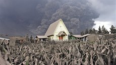 Erupce indonéské sopky Mount Sinabung (6. ledna 2014) Erupce indonéské sopky Mount Sinabung (6. ledna 2014)