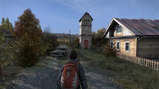 DayZ