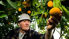 Josef Boukal z Hradce Králové je uznávaným pěstitelem citrusů i jablek. Josef Boukal z Hradce Králové je uznávaným pěstitelem citrusů i jablek.