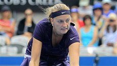 Petra Kvitová na turnaji v Sydney.