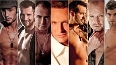 Anketa o nej sexy muže českého showbyznysu Anketa o nej sexy muže českého showbyznysu