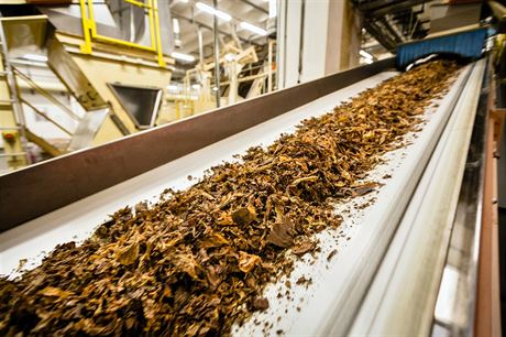 Na nezdanných tabákových listech pichází stát o pl miliardy ron