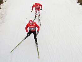 Trnink na Zlatou lyi v Novm Mst na Morav