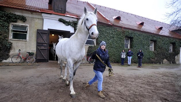 Oetovatel evakuovali piblin 220 kon.