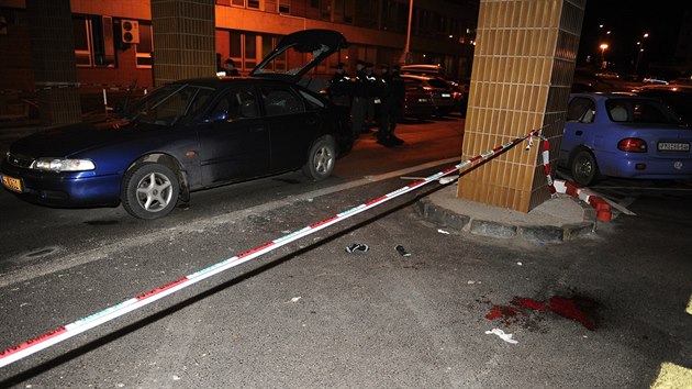 Policist mue dopadli a v Plzni v arelu fakultn nemocnice na Lochotn.