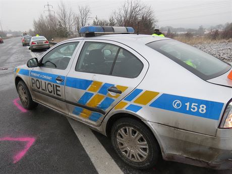 Honika skonila stetem ujídjícího vozu s policejním automobilem. Ilustraní foto