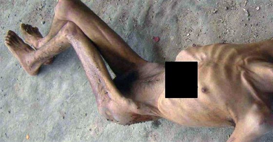 Jedna z tisíc fotografií, které ze Sýrie propaoval vojenský dezertér.